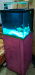 15 cube 6mm crystal backsump aquarium